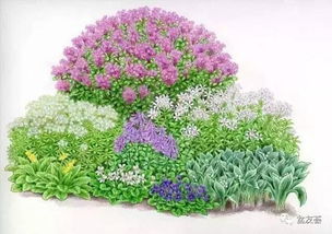 101張超高清精品手繪花境，驚艷你的視覺 下 化妝品