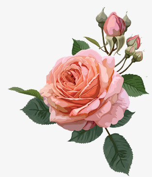 唯美手繪花卉與數(shù)碼產(chǎn)品的跨界詩意